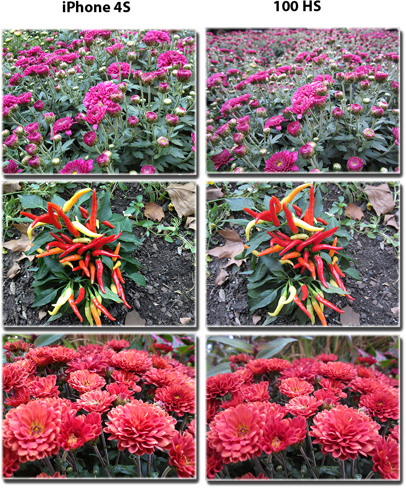 View This Image At Full Size - Prince Of Wales Feathers (1550x1083), Png Download