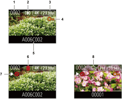 Display Of The Clips In The Thumbnail Screen - Thumbnail (506x410), Png Download