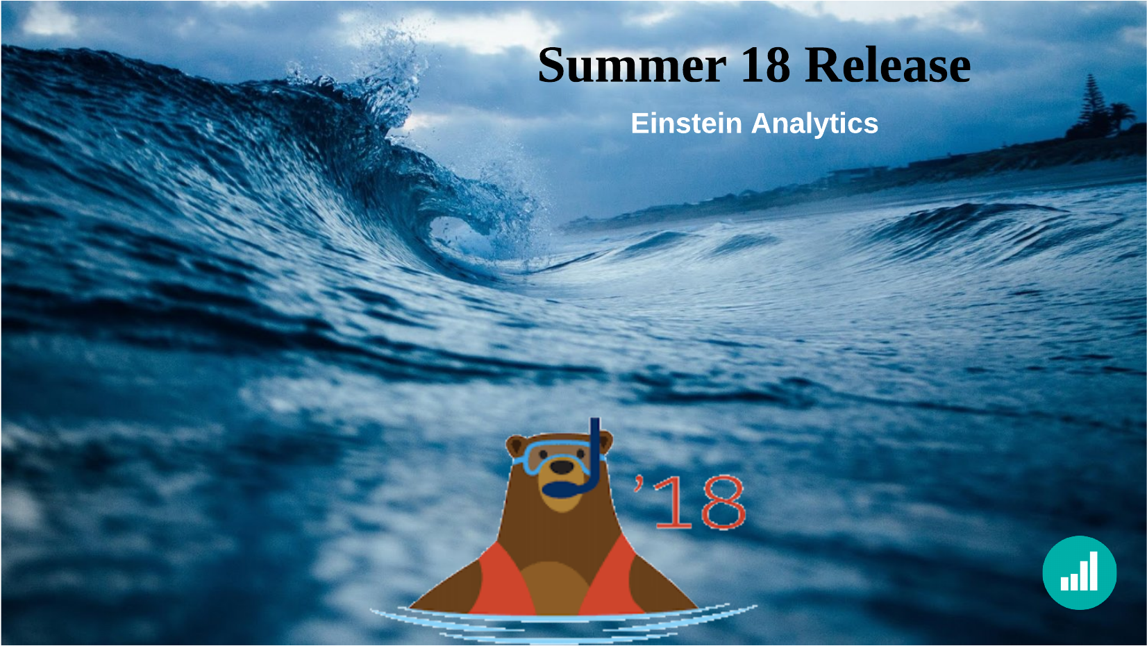 Einstein Analytics Summer Release18 - Salt To The Sea By Ruta Sepetys Student Workbook: Quick (1800x1116), Png Download