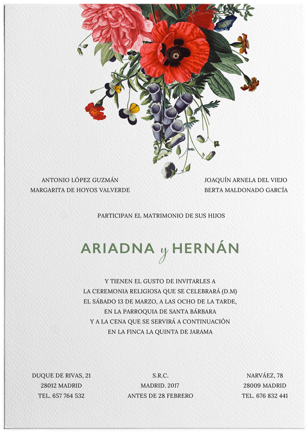 Inicio - Hibiscus (800x1033), Png Download