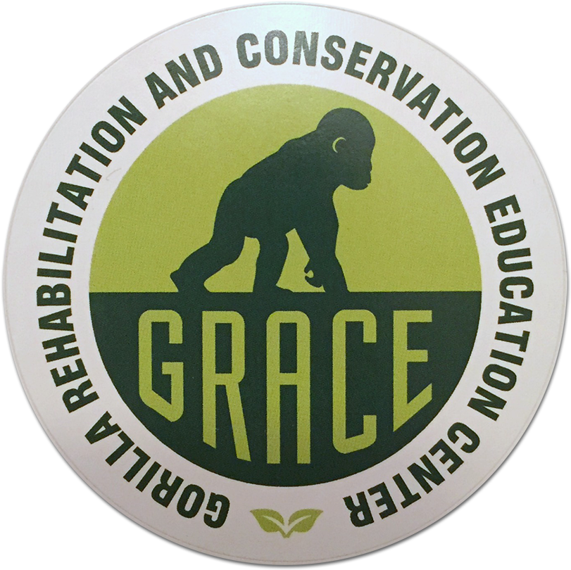Grace Logo Sticker - Grace Gorillas (900x898), Png Download