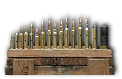 Bullet Display - Dummy Round (499x340), Png Download
