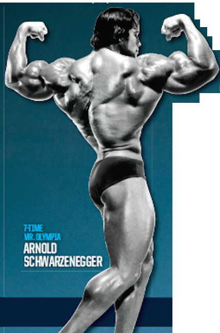 Now Vs The Arnold Era - Bodybuilding (430x651), Png Download