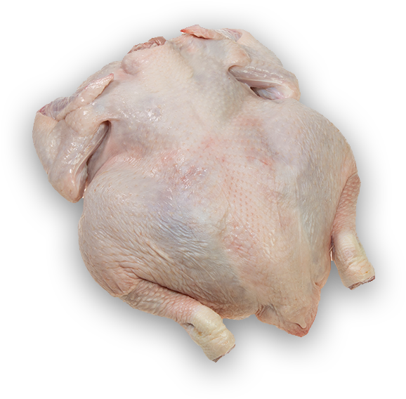 Download Whole Chicken Turkey Meat PNG Image with No Background