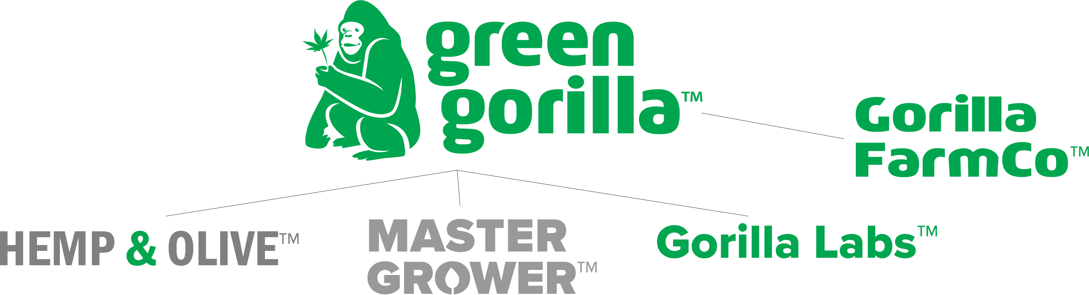 Green Gorilla Launches Scalable Hemp Growing Operation - Green Gorilla (3682x999), Png Download