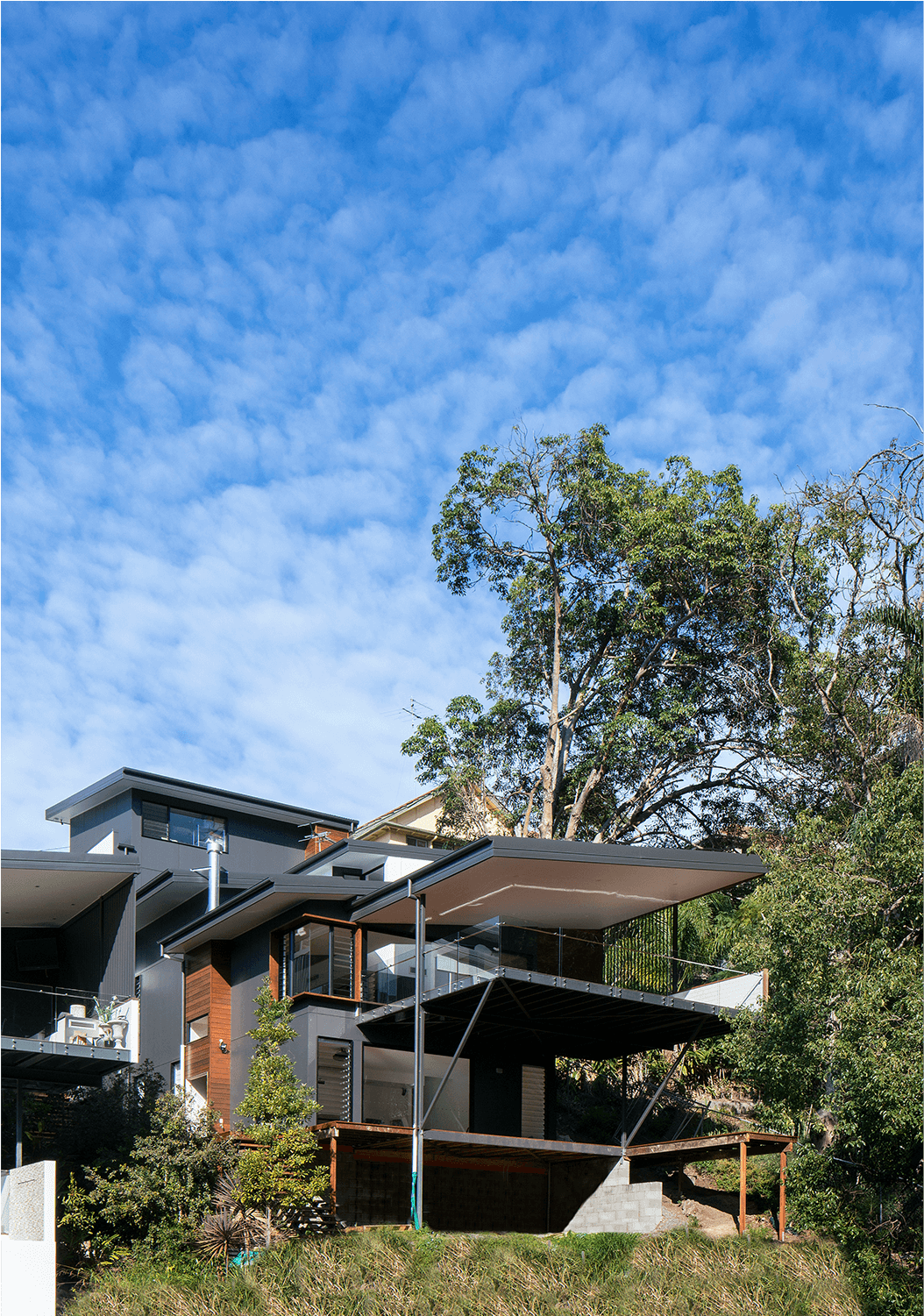 Hillside Cst - Tree (1500x1500), Png Download