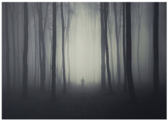 Spooky Forest Scene With Ghost On A Path Poster • Pixers® - Poster: Andreiuc88's Spooky Forest Scene With Ghost (400x400), Png Download