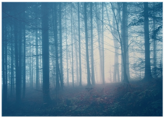 Color (400x400), Png Download