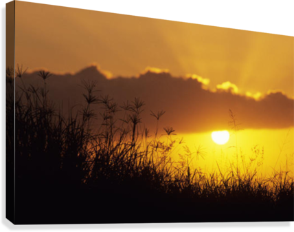 Hawaii, Maui, Sunset Over Hillside - Great Big Canvas Mary Van De Ven Poster Print Entitled (428x337), Png Download