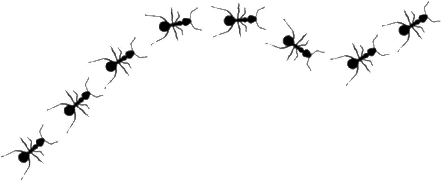 Ritmo Visual (1422x583), Png Download