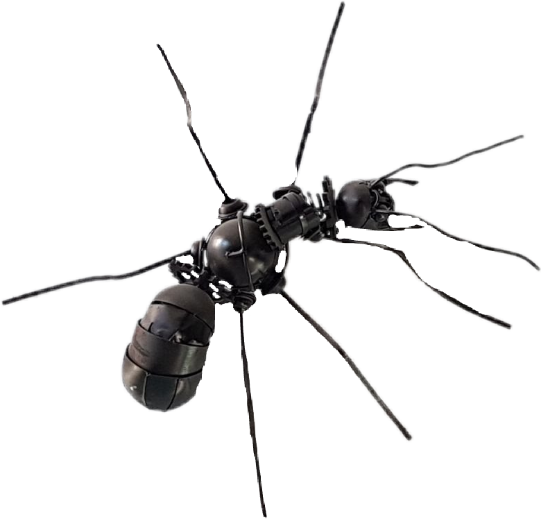 Sawfly (780x748), Png Download
