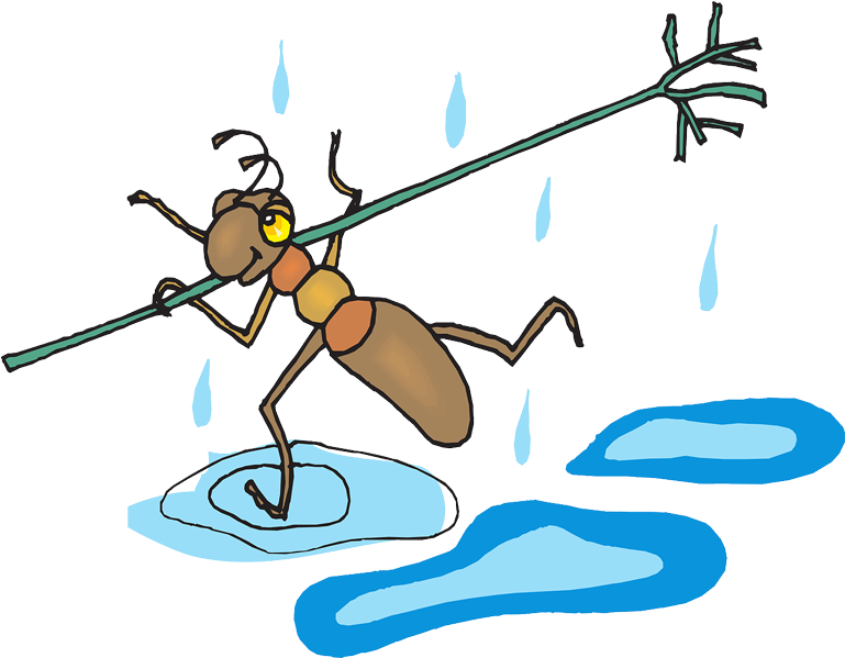 Las Hormigas Pueden Sobrevivir Debajo Del Agua - Учимся Читать По-английски. Книга Для Детей И Родителей (1200x600), Png Download