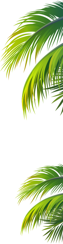 Hazlo Tropical Hazlo Tropical - Attalea Speciosa (205x983), Png Download