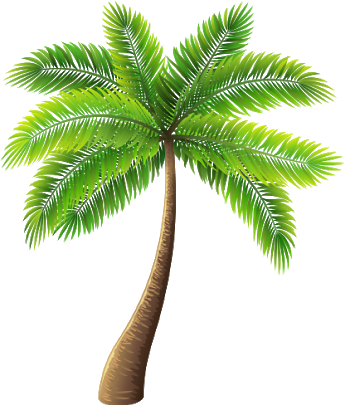 Palm Tree Png Transparent (344x405), Png Download