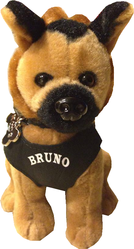 Bruno Stuffed Dog Front - Anaheim (720x960), Png Download