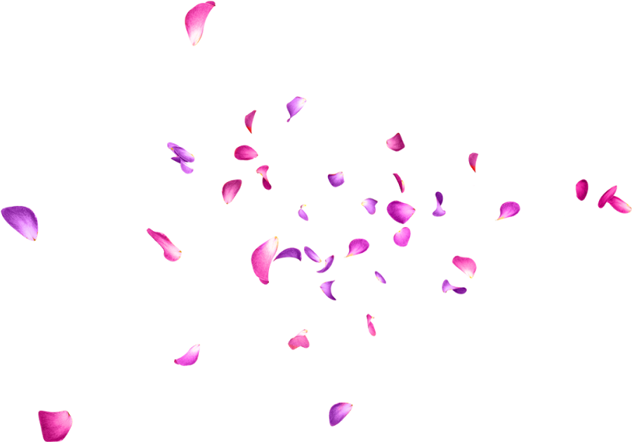 Floating Flower Png - Pétalos Rosa (1000x1600), Png Download