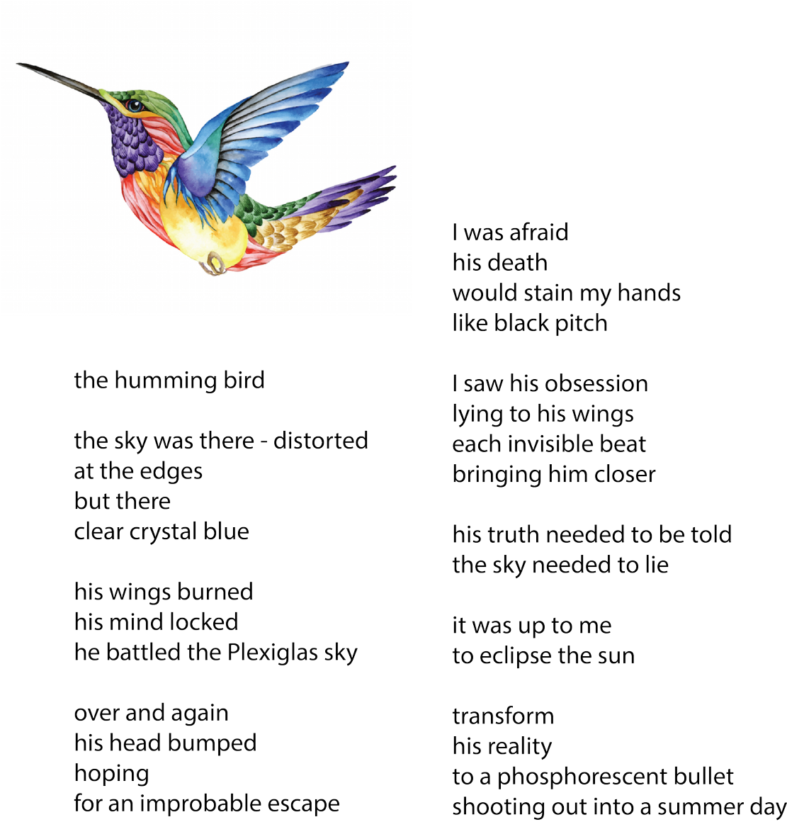 #micropoetography #micropoetry #poetry #poetography - Quadro Decorativo - Beija Flor - 100qdsm (1110x1200), Png Download