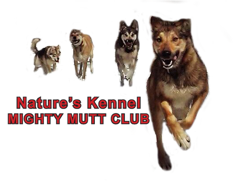 Dog (498x372), Png Download