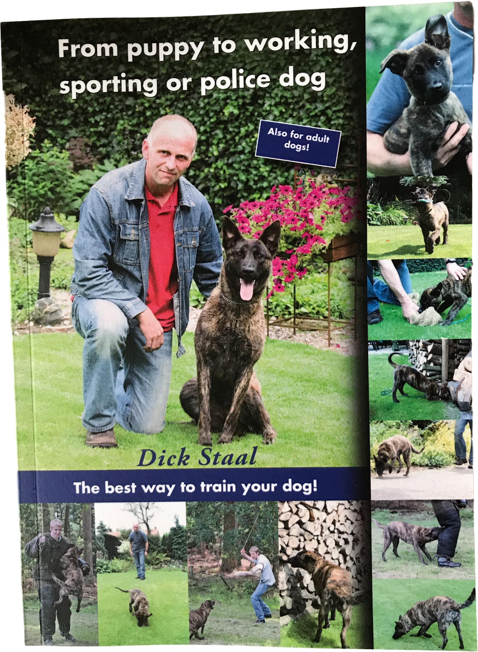 Dog (1773x2365), Png Download