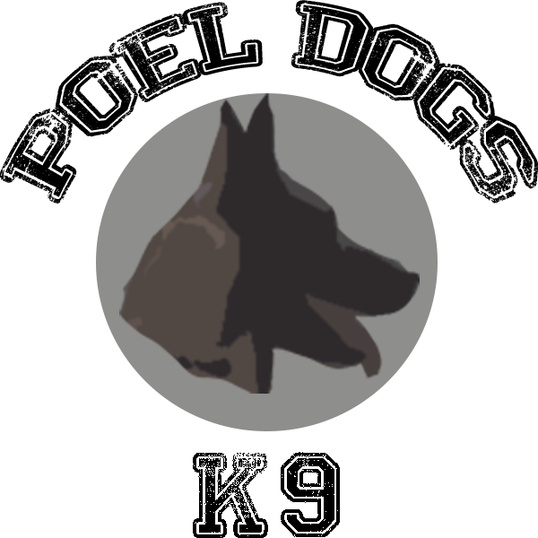 About Poeldogs - Too Cool For 5k Tile Coaster (600x600), Png Download