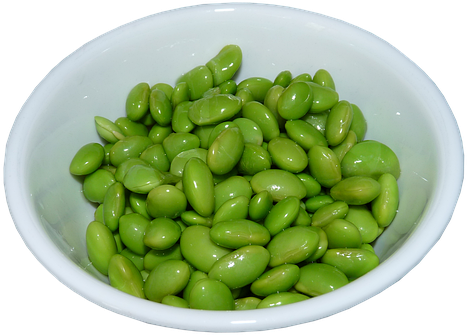 Even Though It's Not Been Proven That Gmo Foods Can - Soybean (483x340), Png Download