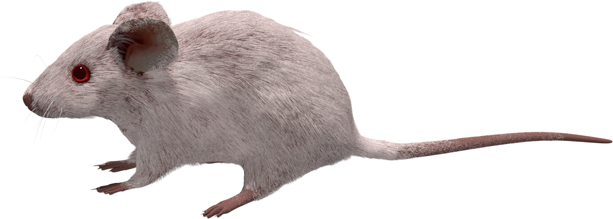 Open - Wikimedia Commons (2000x833), Png Download