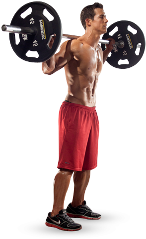 Homem Fazendo Agachamento Definição Muscular Indside - Homem Na Academia Em Png (308x511), Png Download