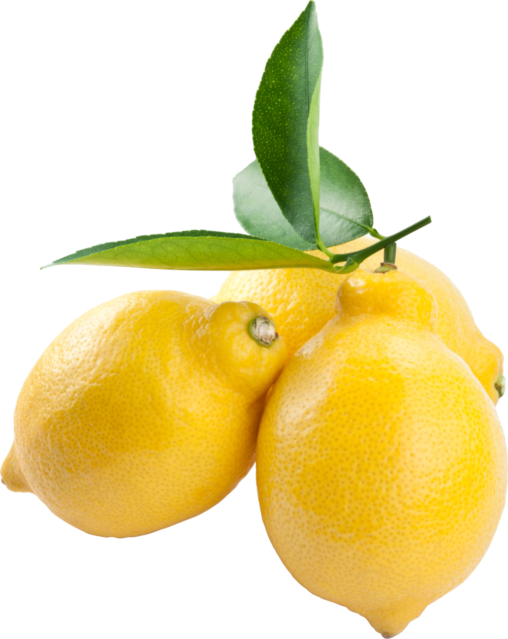 Lemon Png Image 97501 - Lemon Transparent Background (1000x1257), Png Download