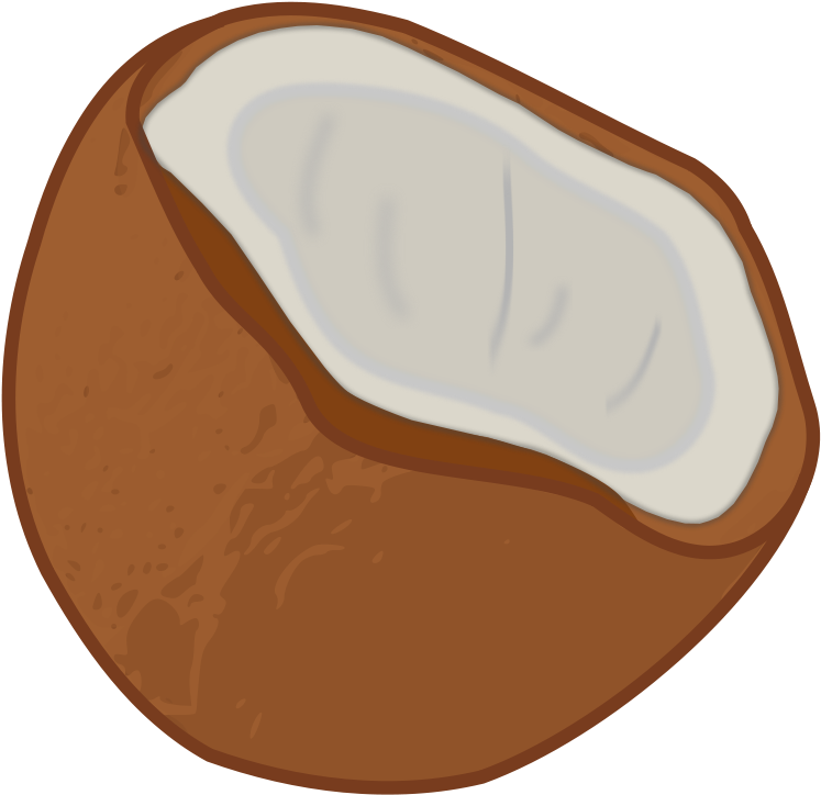 Free Miniature Coconut Palm Free Coconut - Coconut Clip Art (800x800), Png Download