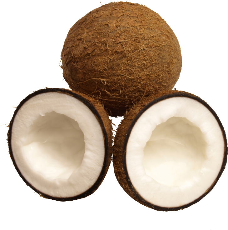 Tropical Fruit Coconut Png - Fruit (1024x1024), Png Download