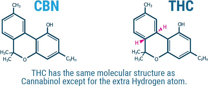 Cbn Composition - Thc Cbd Cbn Molécules (900x350), Png Download