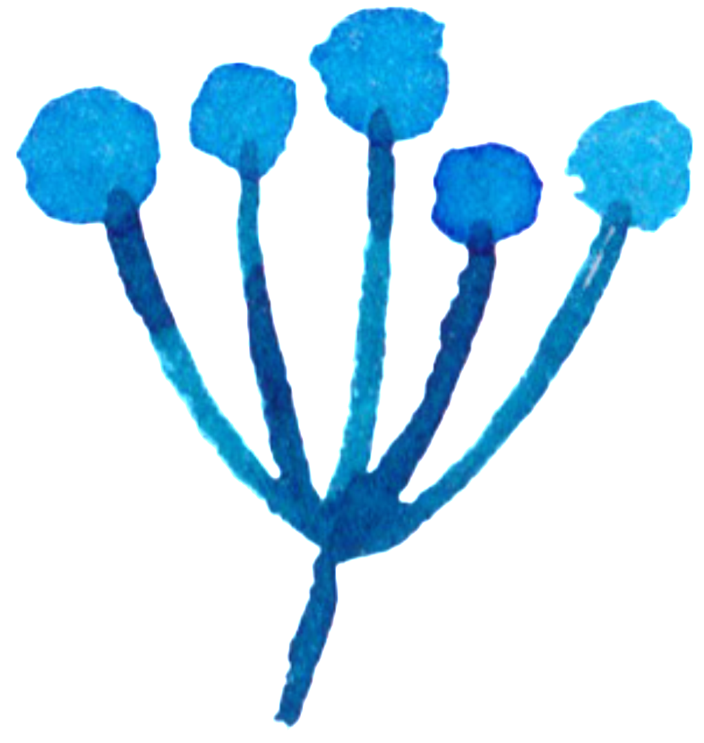 Ink Graffiti Hand Painted Flowers Decorative - Watercolor Painting (1024x1081), Png Download