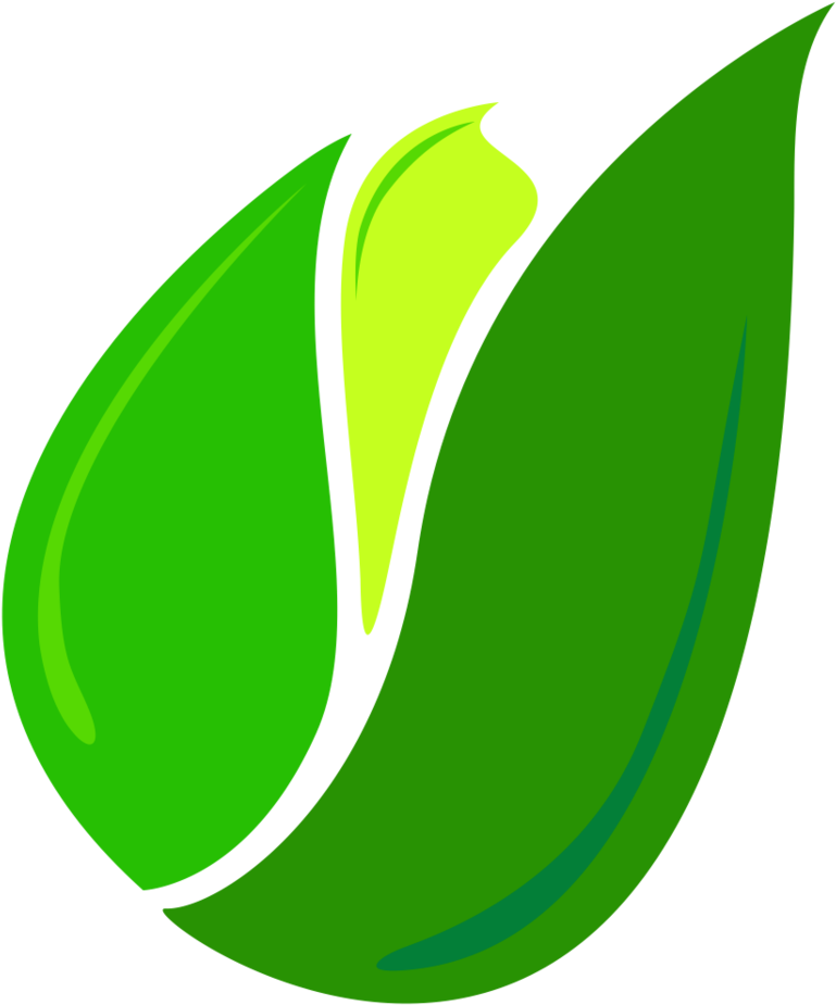 Single Green Leaf Png (1000x1050), Png Download