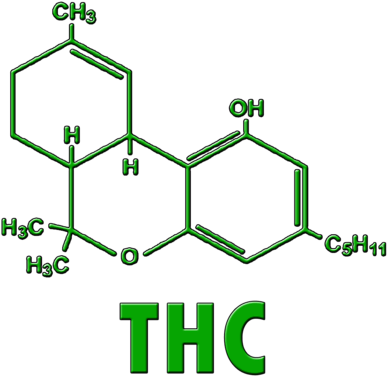 Thc Vs Thujone Molecule (400x400), Png Download