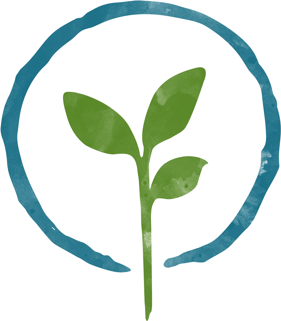 Wellspring-leaf - Leaf (1000x1152), Png Download