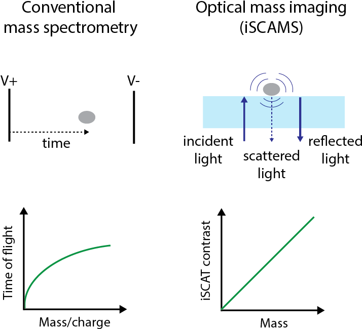 Professor Kyu Young Han Has Published A Paper "measuring - Diagram (715x657), Png Download