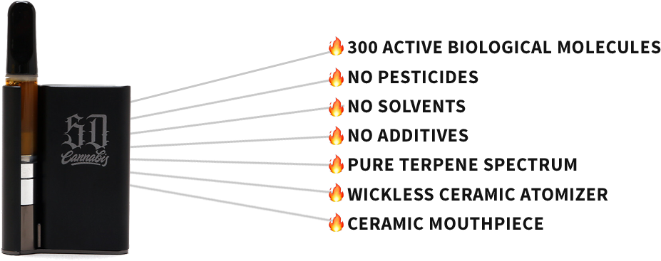 Sauce (1165x400), Png Download