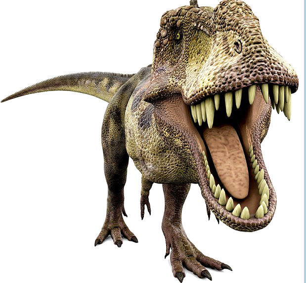 Dinosaur Transparent - Tin Set Discover Dinosaurs (619x572), Png Download
