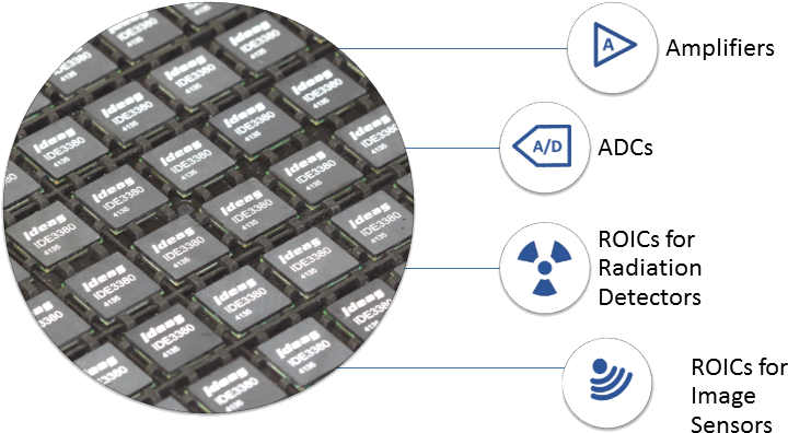 The Company Designs Integrated Circuits And Systems - Stock Illustration (758x682), Png Download