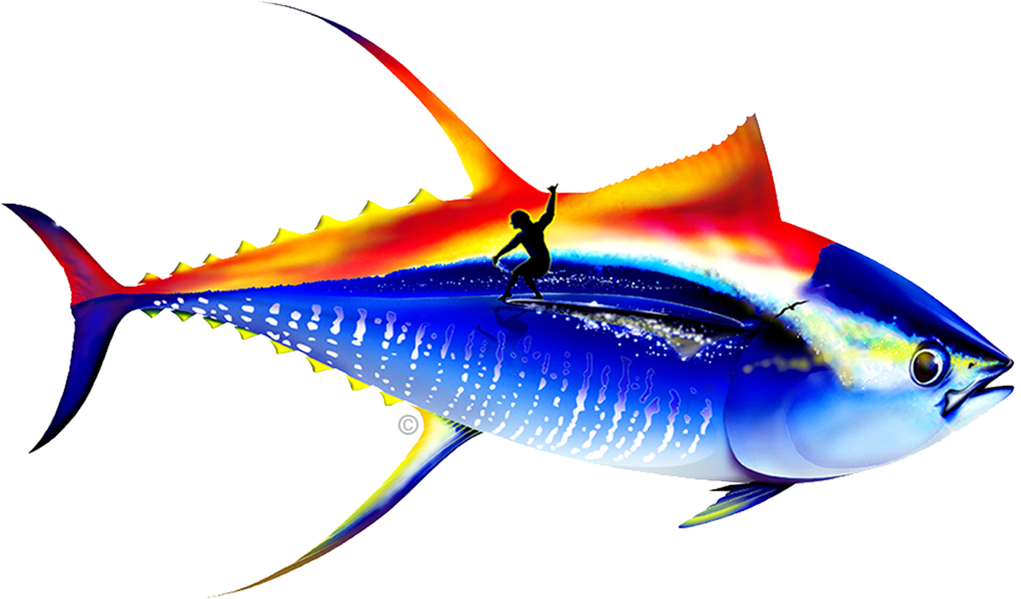 Comin' Up With A Swell Catch - Casta Design (1500x895), Png Download