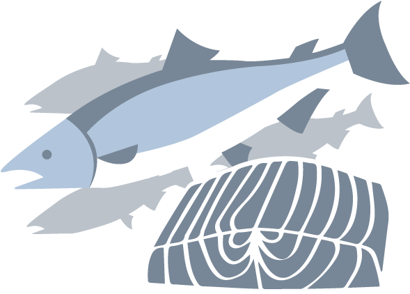 It's Important To Avoid Fish That Are High In Mercury, - Billfish (600x600), Png Download