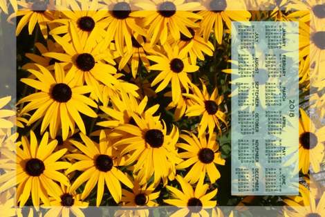 2018 Black-eyed Susan Calendar Fabric By Victorialasher - Tea (470x314), Png Download