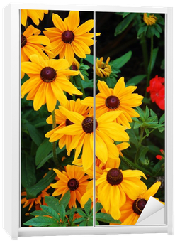 Black-eyed Susan Flowers In Full Bloom Wardrobe Sticker - Schöner Gelber Sonnenblumedruck Rechteckiger Aufkleber (400x400), Png Download