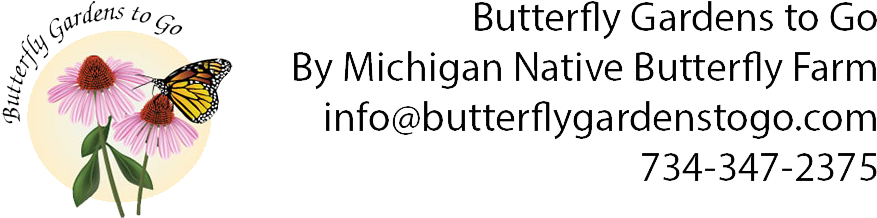 Butterfly Gardens To Go - Butterfly (945x260), Png Download