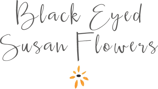Black Eyed Susan Flowers - Flower (510x288), Png Download