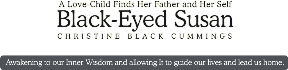 A Love Child Finds Her Father And Her Self By Christine - Christine Black Cummings (990x276), Png Download