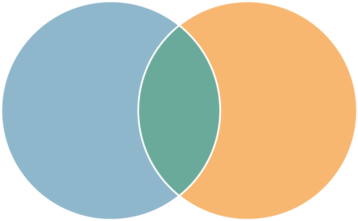 Transition Traditionwe Deliver Insight For Business - Circle (736x456), Png Download