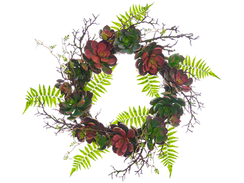 24" Soft Succulent Garden/fern Wreath Green Burgundy - Faux Succulent Fern Garden Wreath By World Market (800x800), Png Download