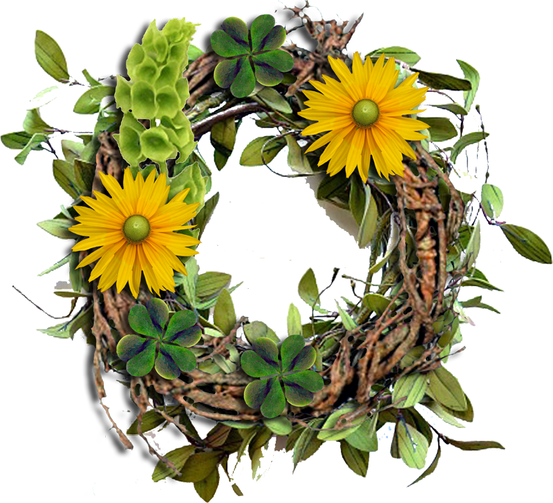I Even Made Another Cluster Freebie For You For Today - African Daisy (800x728), Png Download