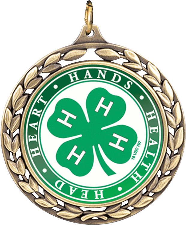 Custom Wreath Medal - National 4-h Magic Of Electricity Grades 4-5 Materials (770x770), Png Download